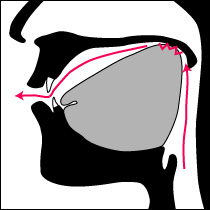 喉音（後舌面軟口蓋音）