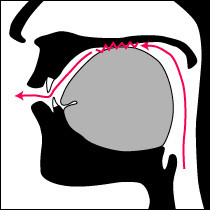 口蓋音（硬口蓋音）