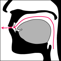 唇音（両唇音）